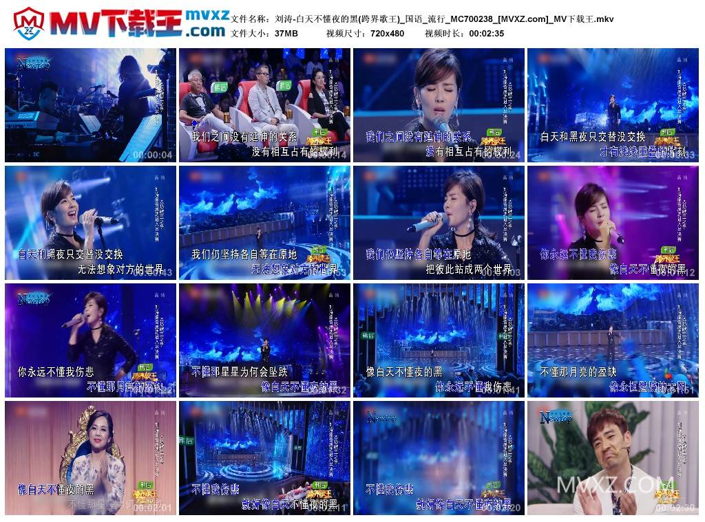 刘涛-白天不懂夜的黑(跨界歌王)_国语_流行_MC700238